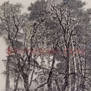 1961年 赵望云《林区写景》国画山水作品图片赏析