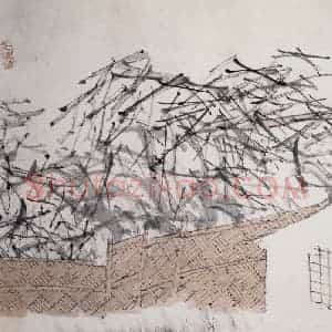 清代 虚谷《山水册·篱宅桑枝》国画山水作品图片赏析