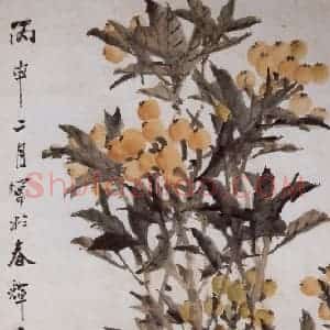清代 虚谷《枇杷图轴》国画花鸟作品图片赏析