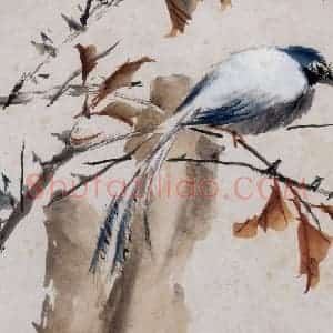 清代 虚谷《花鸟水族图册》国画花鸟作品图片赏析
