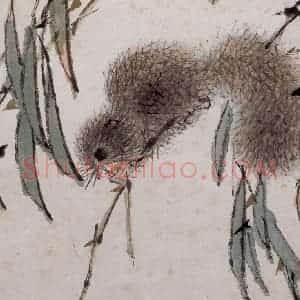 清代 虚谷《花鸟水族图册》国画花鸟作品图片赏析