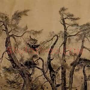 1980年 吴冠中《南岳松》国画花鸟写意作品图片赏析