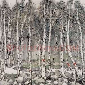1981年 吴冠中《新疆白桦林》国画花鸟写意作品图片赏析