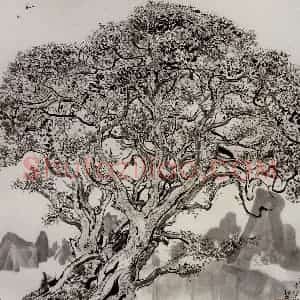 1977年 吴冠中《桂花树》国画花鸟写意作品图片赏析