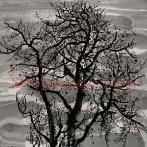 2005年 吴冠中《枣树》国画花鸟写意作品图片赏析