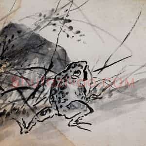 吴茀之《蛤蟆图》国画花鸟作品图片赏析
