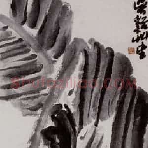 吴茀之《蕉雨潇潇》国画花鸟作品图片赏析