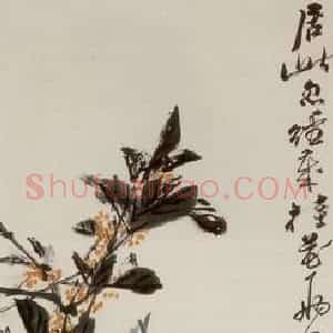 1948年 吴茀之《桂花》国画花鸟作品图片赏析