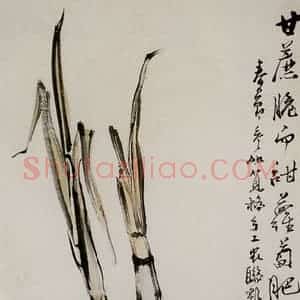 1958年 吴茀之《甘蔗萝卜》国画花鸟作品图片赏析