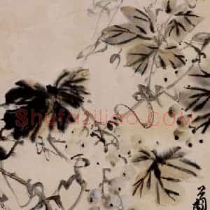 1960年 吴茀之《葡萄》国画花鸟作品图片赏析