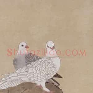 1959年 喻继高《牡丹双鸽》国画花鸟工笔作品图片赏析