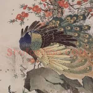 1981年 喻继高《孔雀戏春》国画花鸟工笔作品图片赏析