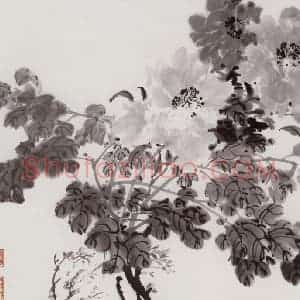 1979年 宗其香《墨牡丹》国画花鸟作品图片赏析