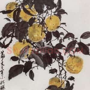 1981年 宗其香《鲜橙》国画花鸟作品图片赏析