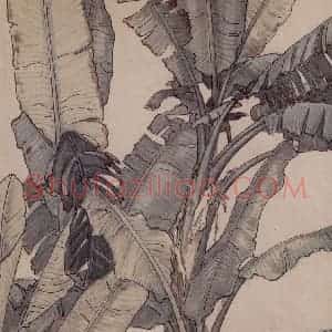 1939年 宗其香《芭蕉》国画综合作品图片赏析