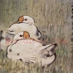 1953年 宗其香《双鹅》国画花鸟作品图片赏析