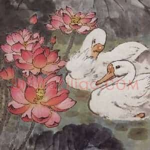 1960年 宗其香《荷塘双鹅》国画花鸟作品图片赏析