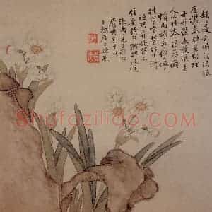 张崇光《水仙石图斗方》国画花鸟工笔作品图片赏析