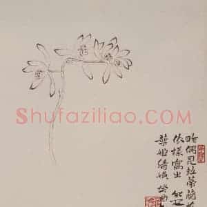 邓尔雅等《山水花卉图册页》国画花鸟写意作品图片赏析
