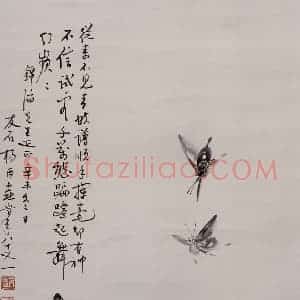 杨丙垚《墨蝶图轴》国画花鸟写意作品图片赏析