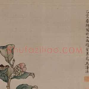 王泽浩《茶花图轴》国画花鸟工笔作品图片赏析