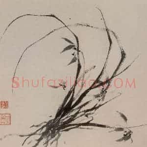 张敬修《兰花图册页》国画花鸟写意作品图片赏析