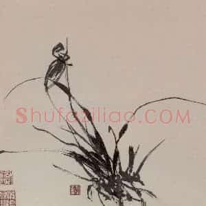张敬修《兰花图册页》国画花鸟写意作品图片赏析