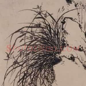张嘉谟《兰石图轴》国画花鸟写意作品图片赏析