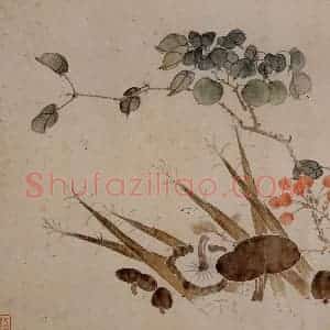 张嘉谟《花卉蔬果图册页》国画花鸟写意作品图片赏析