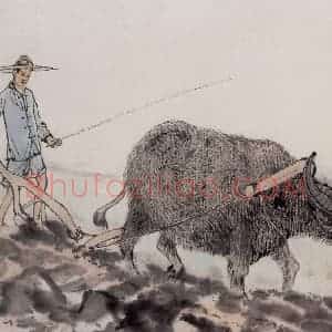 约20世纪50年代 陆俨少《宋人画牛法》国画综合作品图片赏析