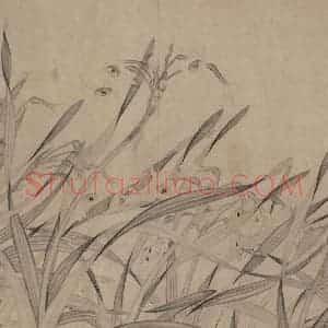 宋代 赵孟坚《水仙图》国画花鸟作品图片赏析