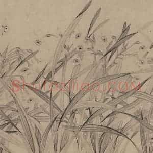宋代 赵孟坚《水仙图》国画花鸟作品图片赏析