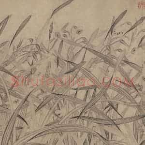 宋代 赵孟坚《水仙图》国画花鸟作品图片赏析