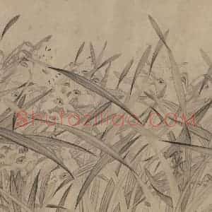 宋代 赵孟坚《水仙图》国画花鸟作品图片赏析