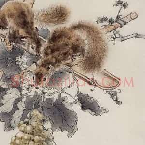 50年代 蔡鹤洲《松鼠葡萄》国画综合作品图片赏析