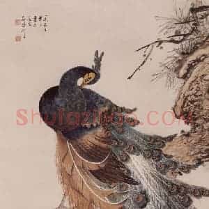 1953年 蔡鹤洲《孔雀》国画花鸟作品图片赏析