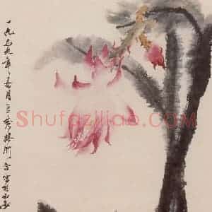 50年代 蔡鹤洲《昙花狸奴》国画综合作品图片赏析