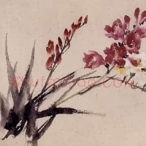 1957年 蔡鹤洲《菖兰小写》国画花鸟作品图片赏析