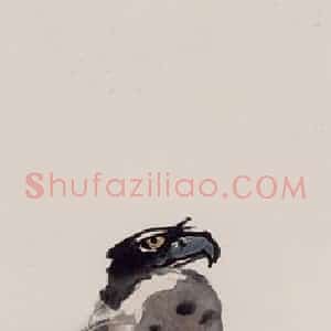 1985年 彭友善《鹰》国画花鸟作品图片赏析