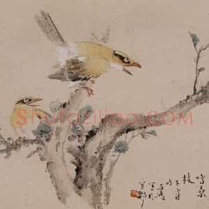 1964年 王雪涛《花鸟册页十开》国画花鸟作品图片赏析