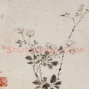 1932年 王雪涛《自提花卉册页》国画花鸟作品图片赏析