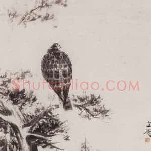 50年代 王雪涛《松鹰图》国画花鸟作品图片赏析