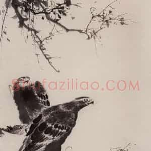 约1953年 王雪涛《临王一清双鹰图》国画花鸟作品图片赏析
