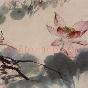 约1956年 王雪涛《出水芙蓉图》国画花鸟作品图片赏析