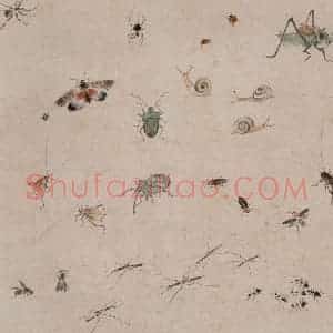 约1960年 王雪涛《草虫册页》国画花鸟作品图片赏析