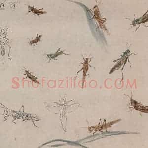 约1960年 王雪涛《草虫册页》国画花鸟作品图片赏析