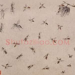 约1960年 王雪涛《草虫册页》国画花鸟作品图片赏析