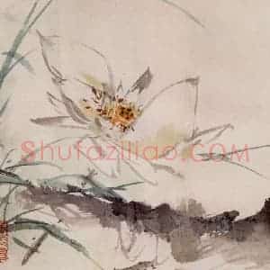 约1962年 王雪涛《花卉册页》国画花鸟作品图片赏析