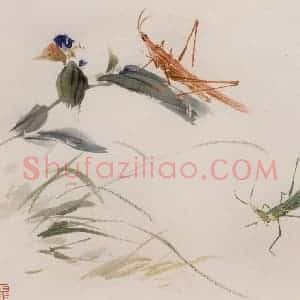 约1962年 王雪涛《草虫花卉册页》国画花鸟作品图片赏析