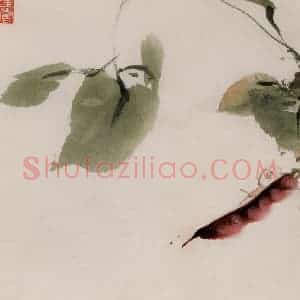 约1962年 王雪涛《草虫花卉册页》国画花鸟作品图片赏析